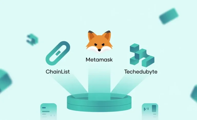 chainlist metamask techedubyte